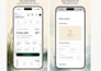 audit your website UX and provide actionable recommendations